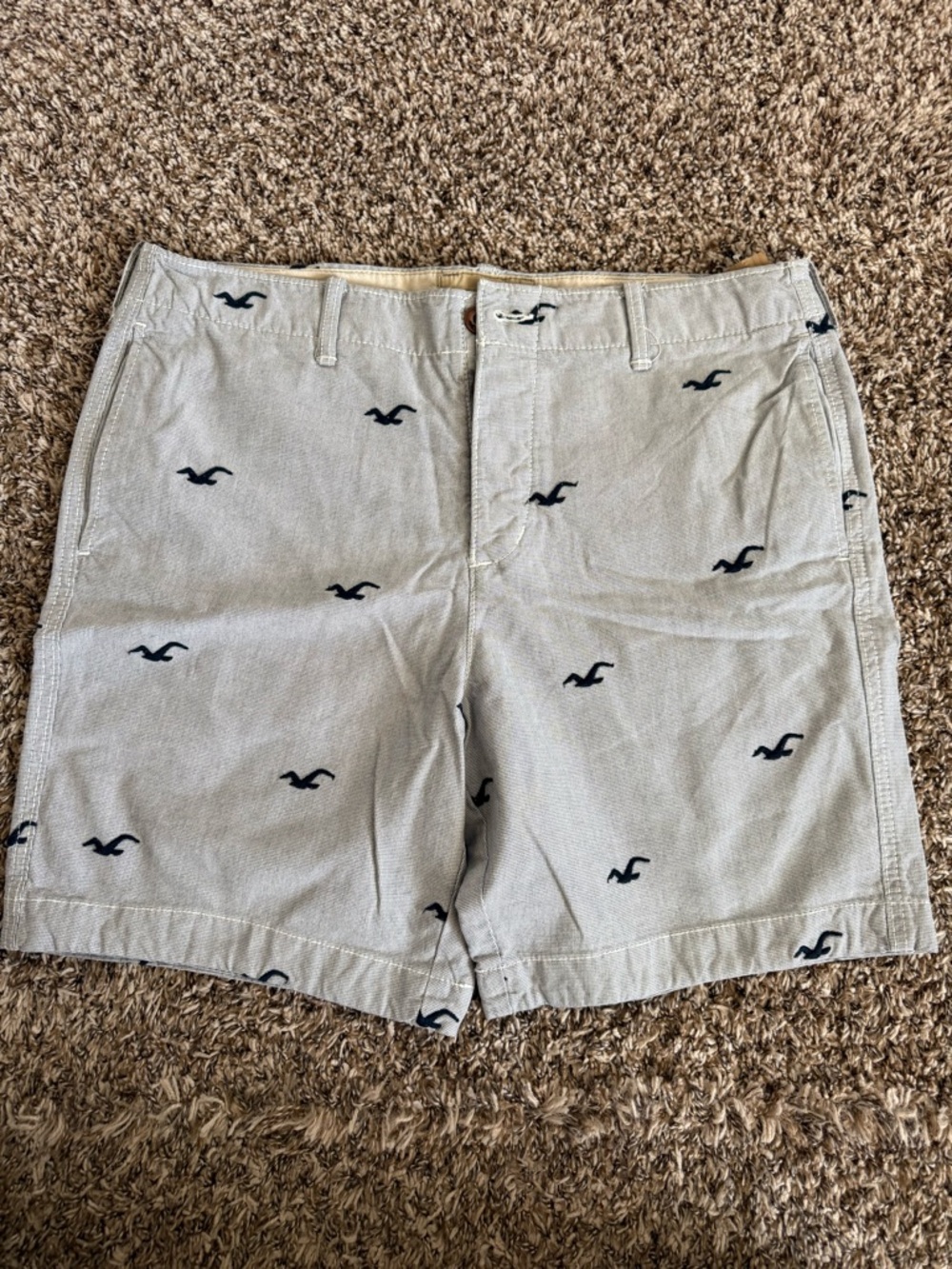 NWT Hollister Men’s Shorts with Navy Embroidered Seagulls | Waist 36